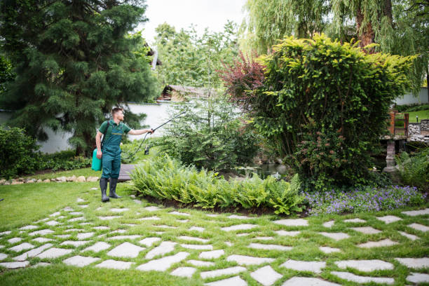 Best Ant Control Services  in Statesboro, GA