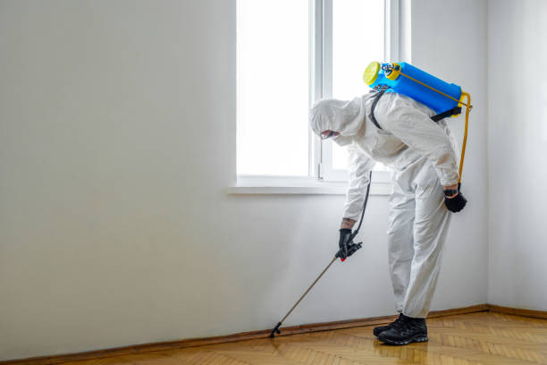 Best Pest Control Near Me  in Statesboro, GA