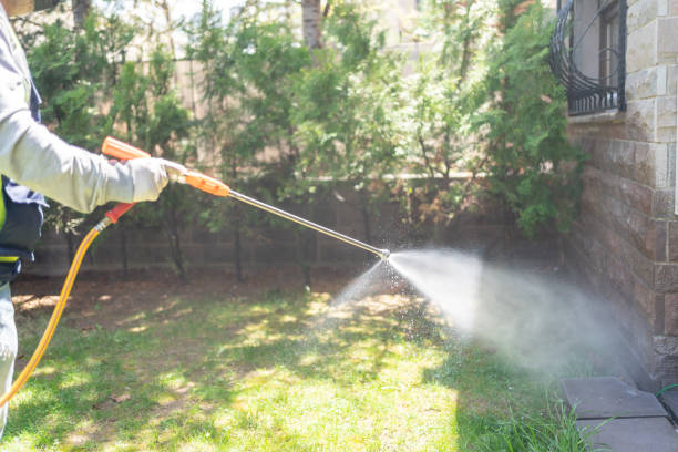 Flea Control Services in Statesboro, GA