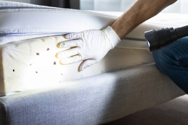 Best Best Pest Control Companies  in Statesboro, GA