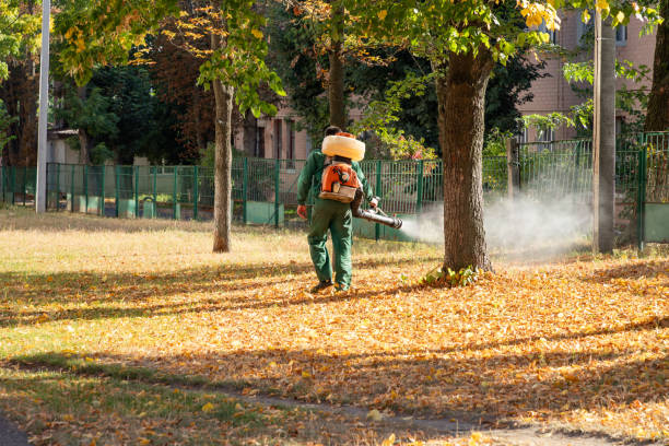 Best Emergency Pest Control  in Statesboro, GA