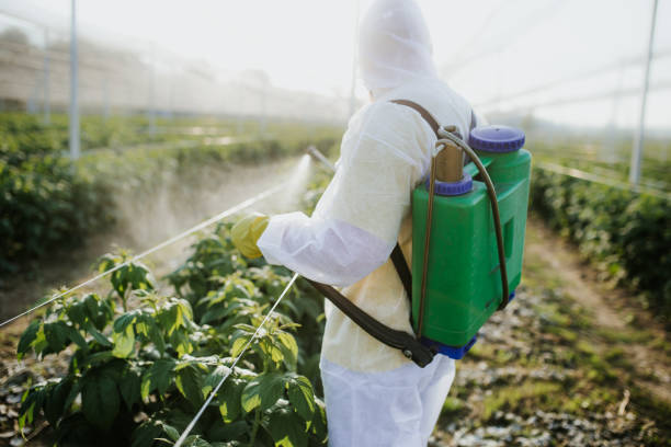 Best Termite Control Services  in Statesboro, GA